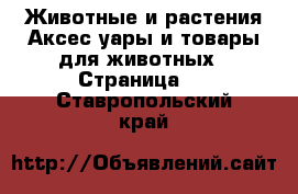 Животные и растения Аксесcуары и товары для животных - Страница 2 . Ставропольский край